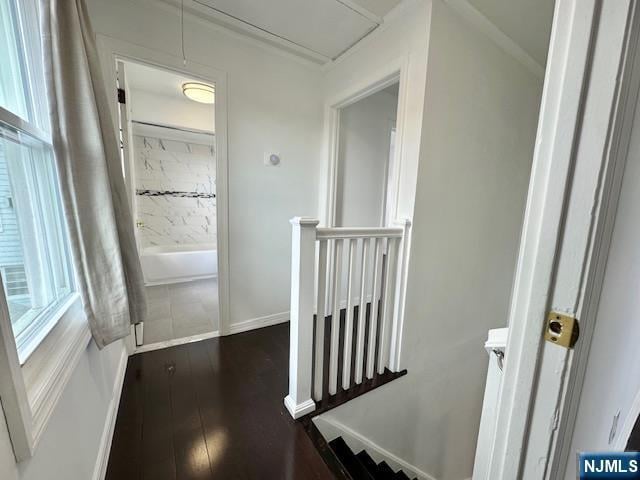 Building Photo - 1410 83rd St