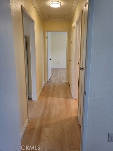 Building Photo - 1533 Plaza del Amo