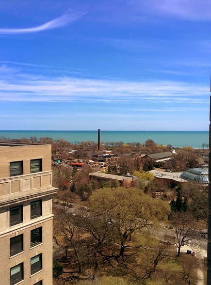 View of Lake Michigan from living room - 2052 N Lincoln Park W