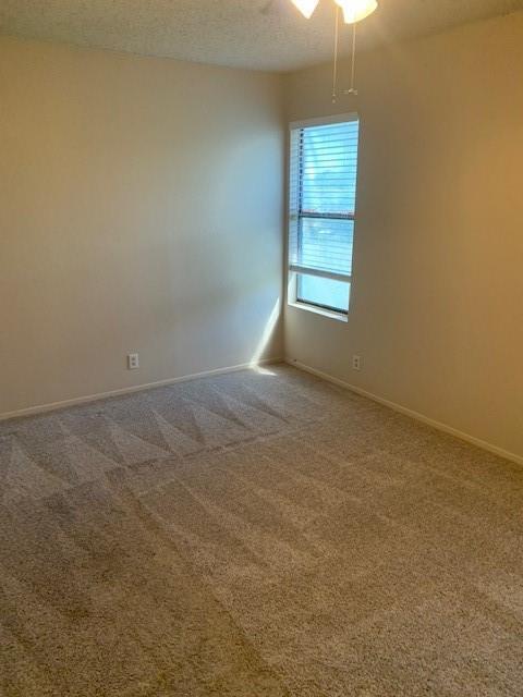 Building Photo - 503 Cypress Ln