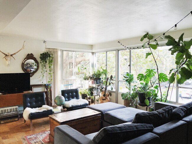 Living room with wall to wall windows - 1221 Minor Ave