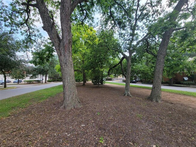 Building Photo - 1314 Heights Blvd