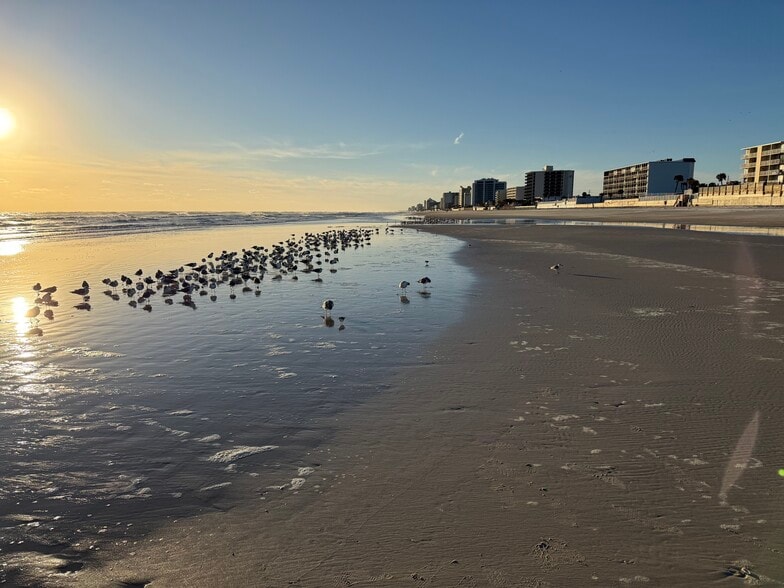Your morning walk on the beach - 1224 S Peninsula Dr