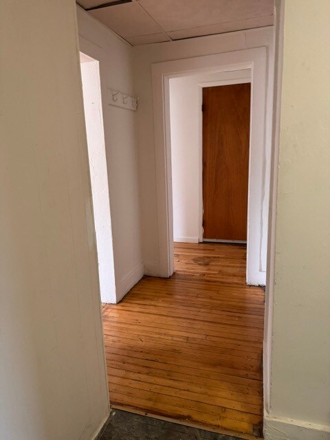 hall - 13 Benton Ave