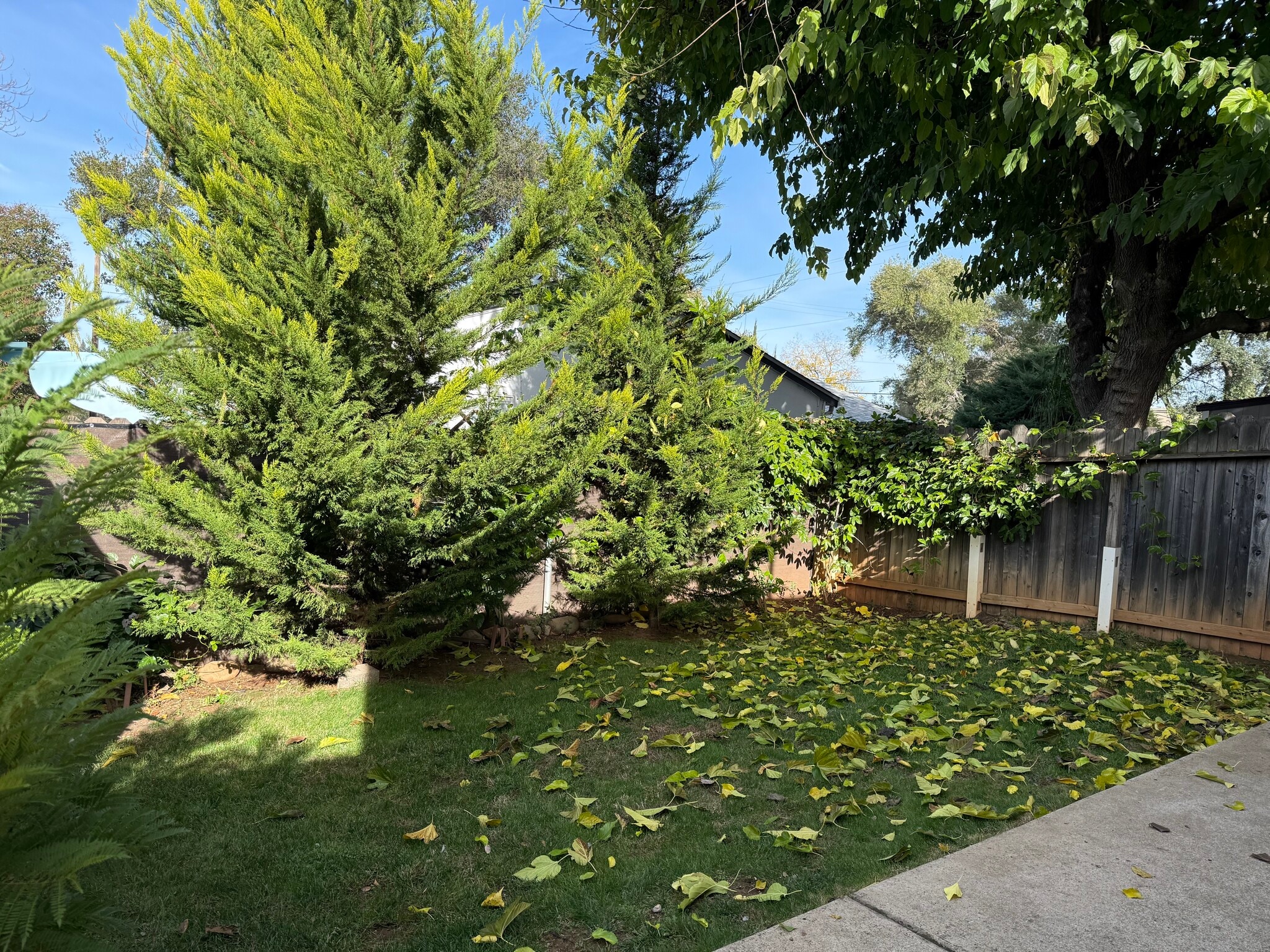 Building Photo - 1000 Figueroa St