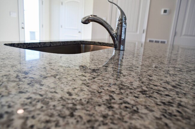 Building Photo - Stunning NEW Townhouse in Heritage Trace!