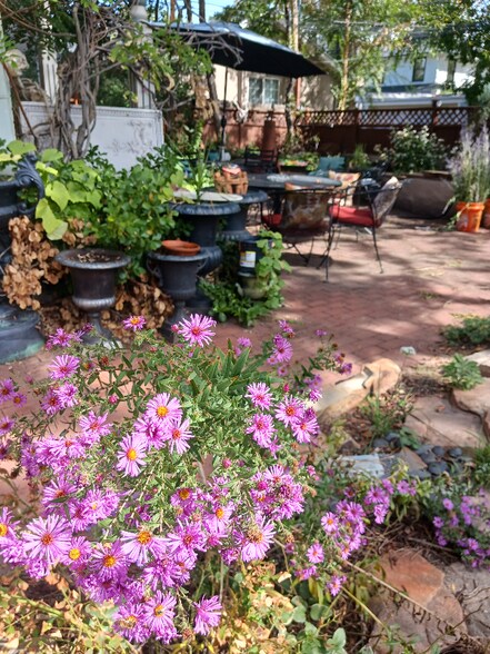 Building Photo - 420 N Downing St