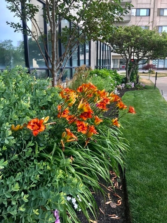 Building Photo - 376 Ocean Ave