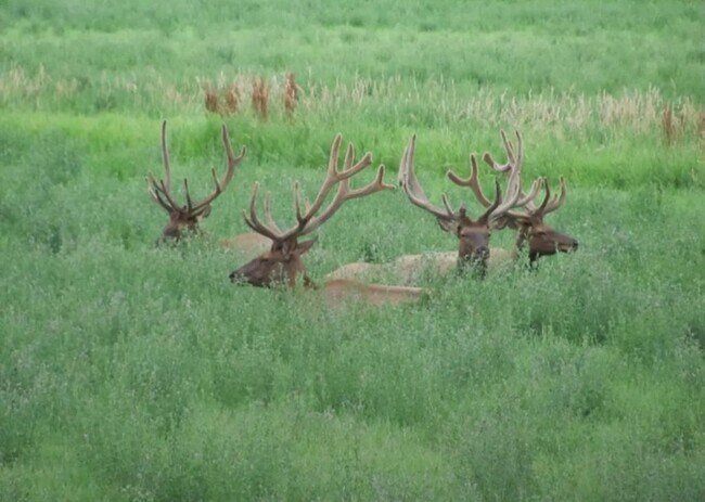 Building Photo - 8400 W County Rd 18E