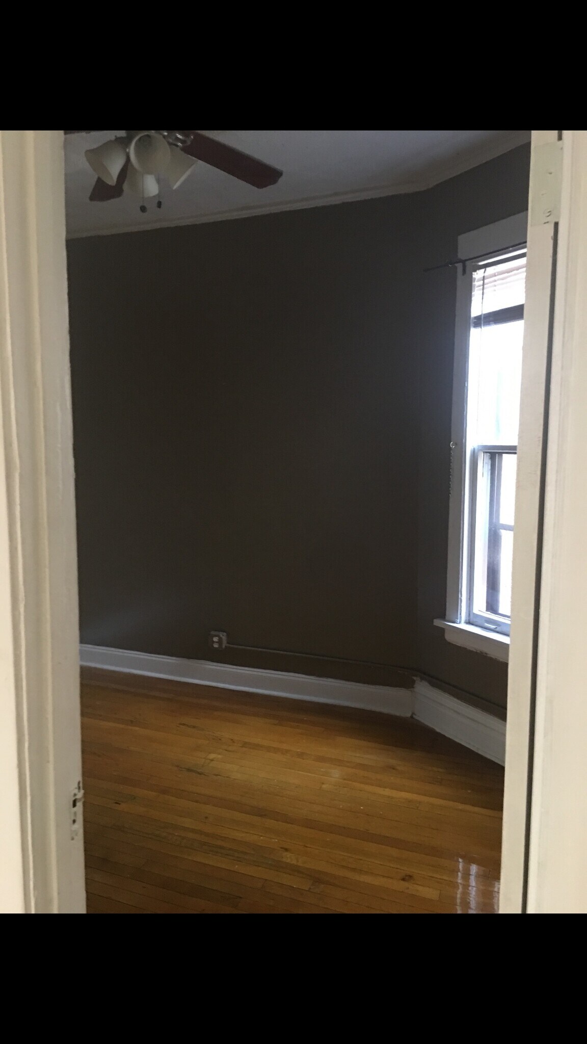 Building Photo - 1222 W Albion Ave