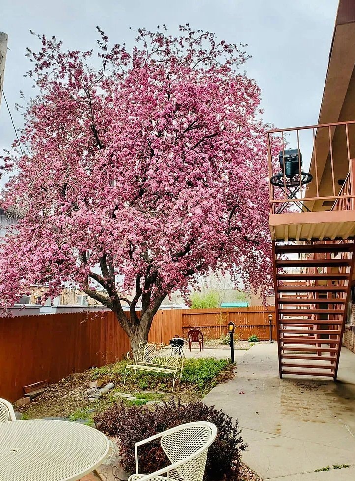 Building Photo - 3300 S Clarkson St