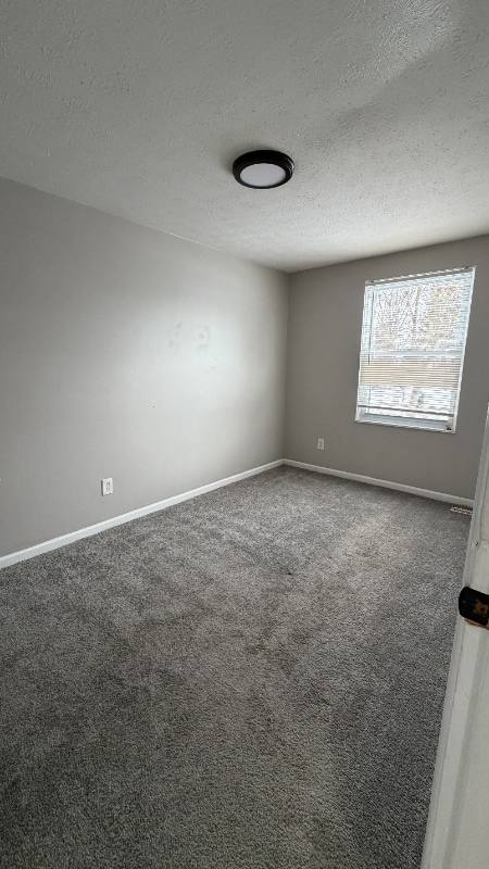 Building Photo - 4169 Commander Ln