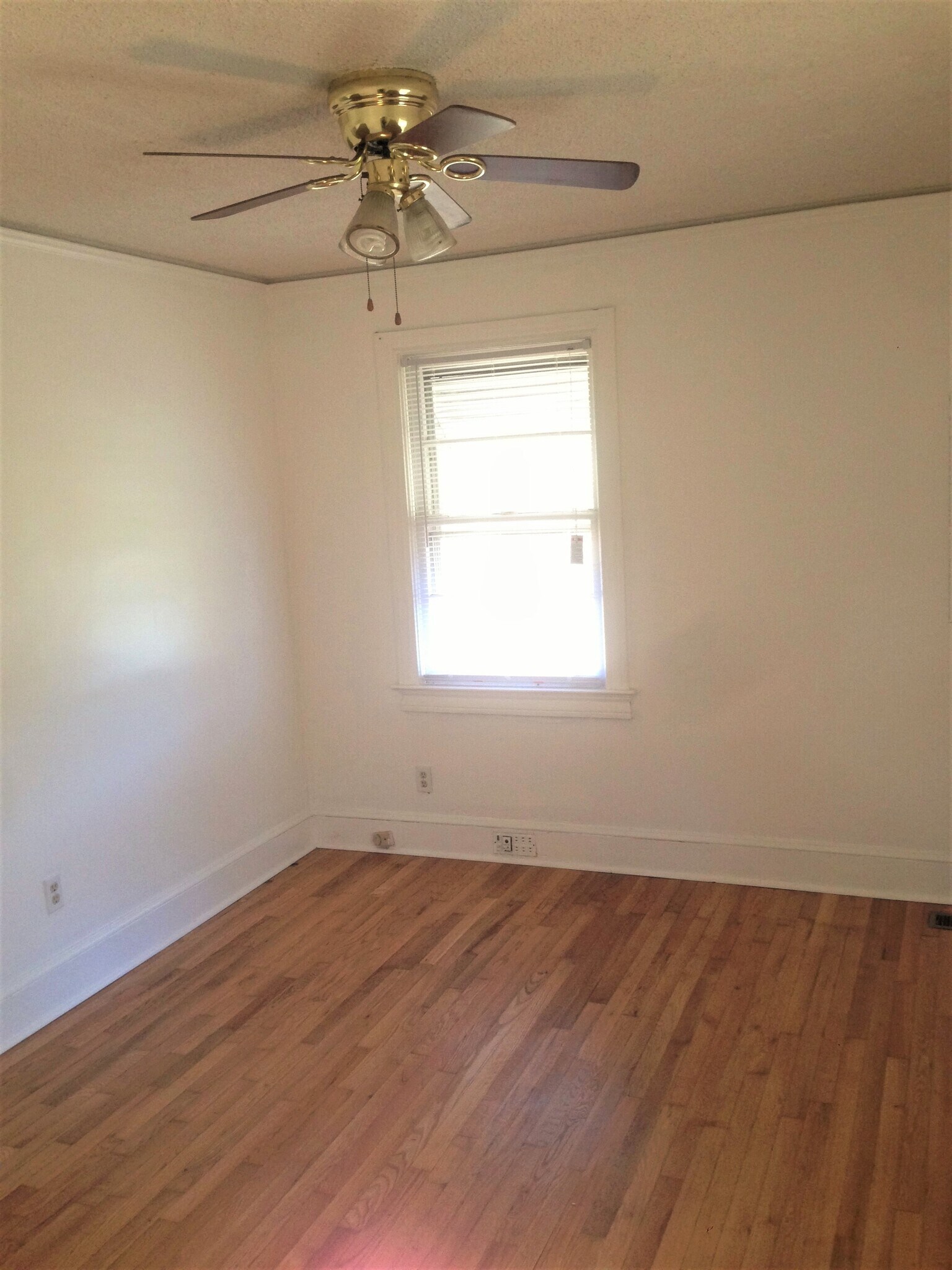 Building Photo - 125 Irene Cir