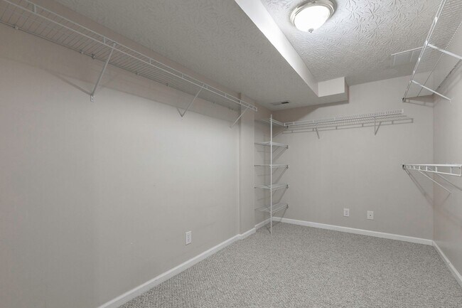 Building Photo - 10005 Brighton Springs Ct