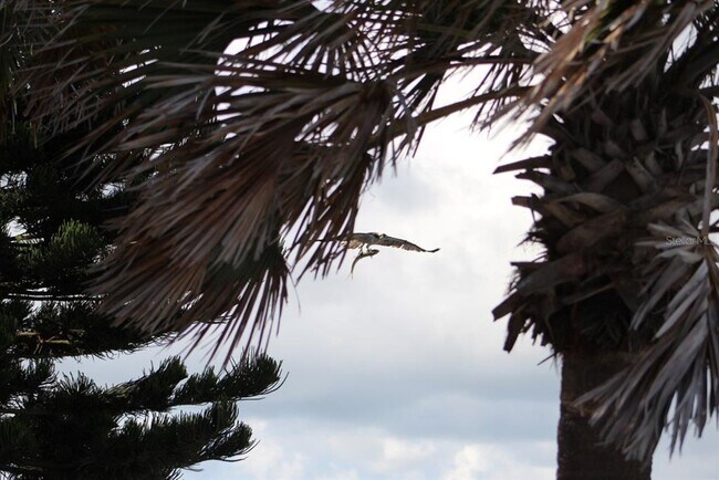 Building Photo - 2709 Casey Key Rd