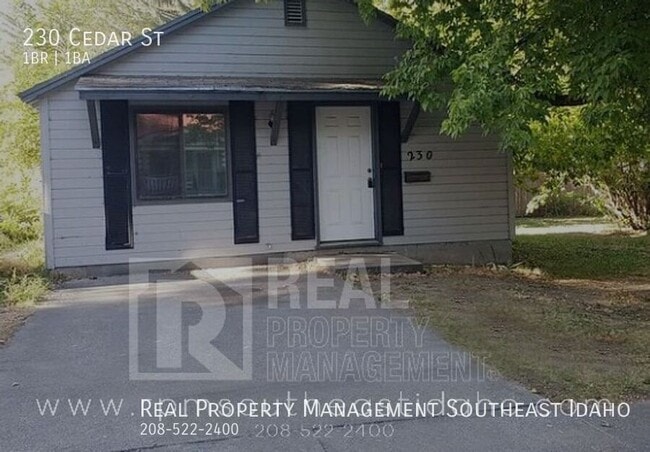 Primary Photo - 230 Cedar St