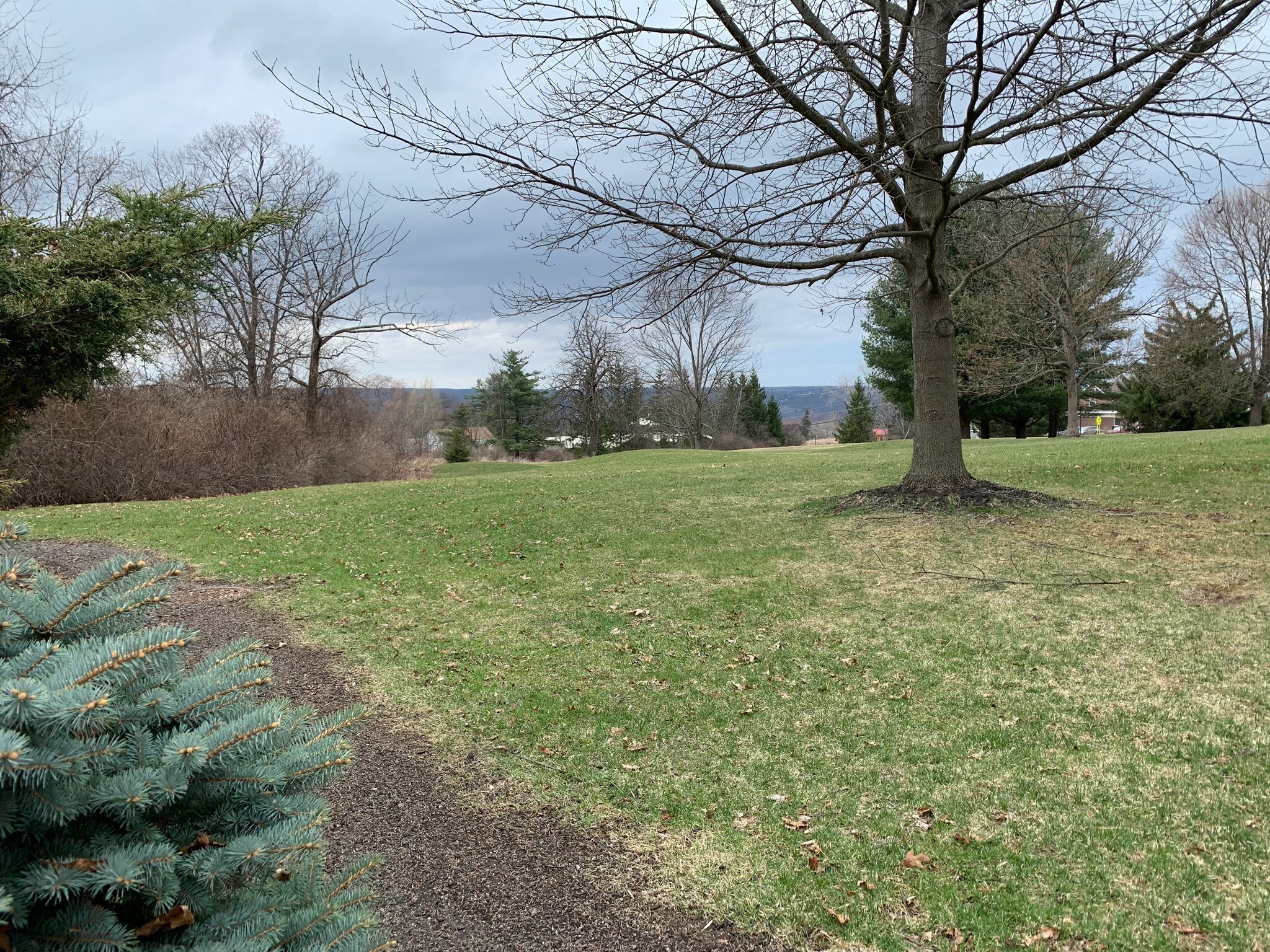 Grounds! - 1047 Danby Rd