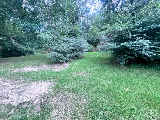 back yard - 2919 Beasley Dr