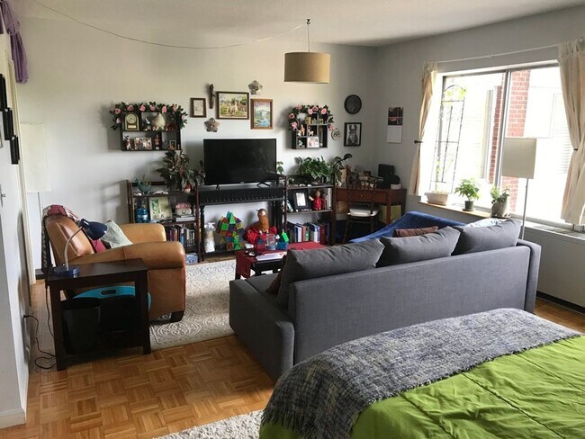 Building Photo - Bright and Spacious Brookline Studio