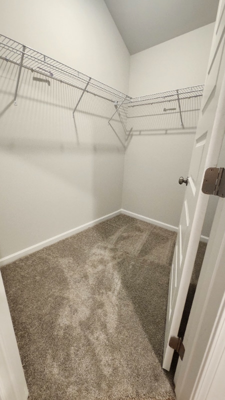 Building Photo - 4011 McKenzie Dr SW