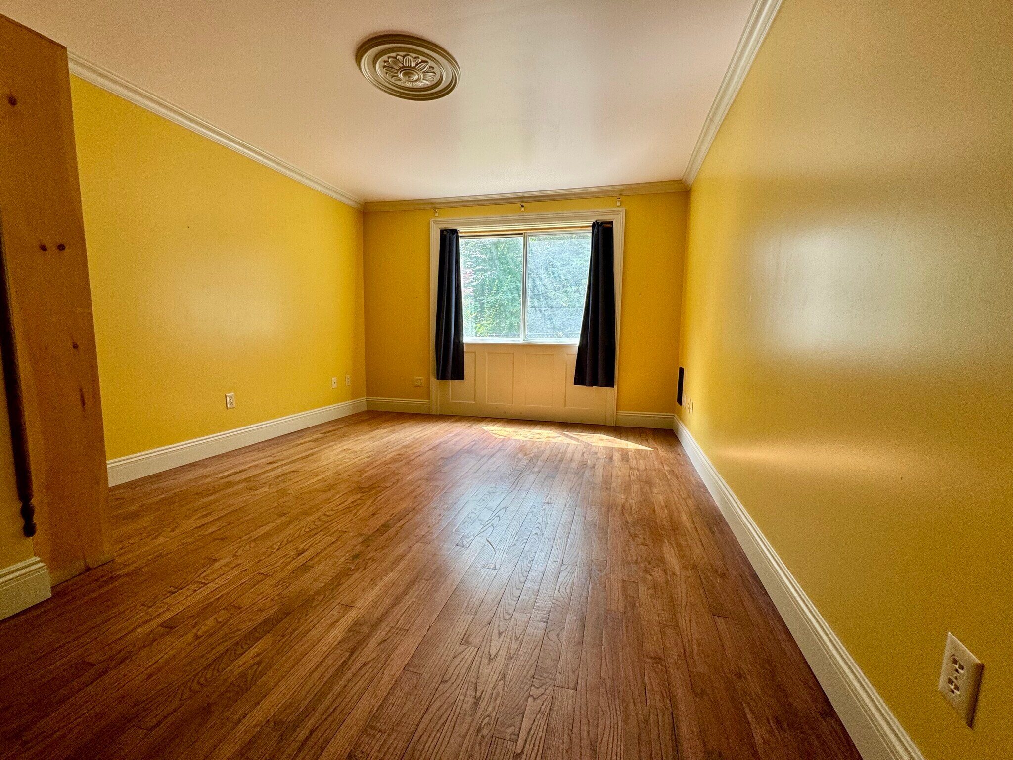 Lower floor bedroom with hardwood floor - 113 Penny Ln
