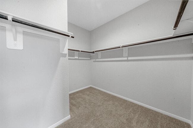 Building Photo - 4911 Bella Danielle Ct