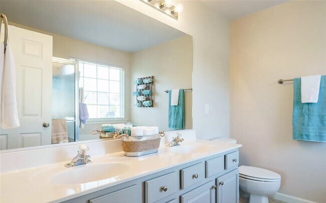 Master Bath - 1217 Twelve Oaks Ln
