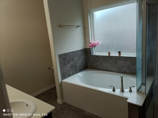 Building Photo - 21354 Somerset Shores Crossing