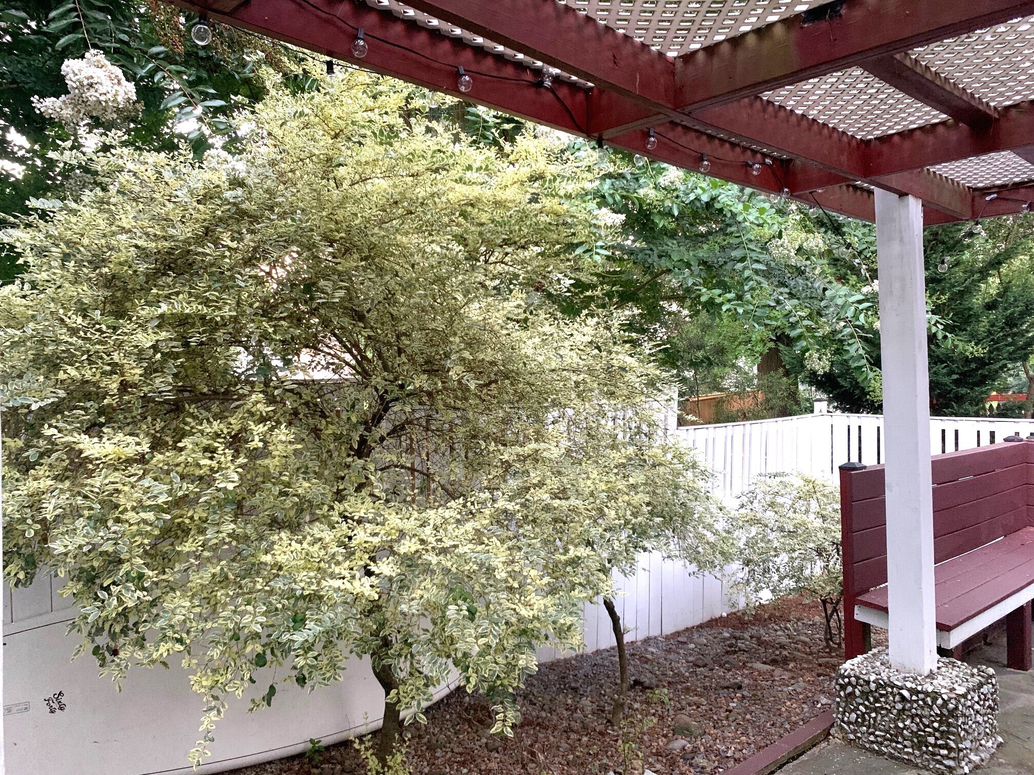 Building Photo - 14717 Calvary Pl