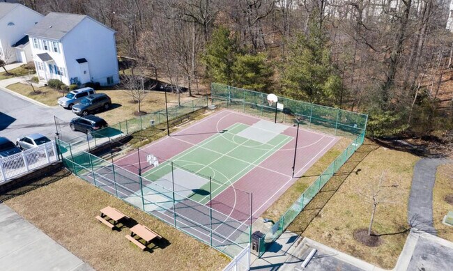 Basketball - 7347 Point Patience Way