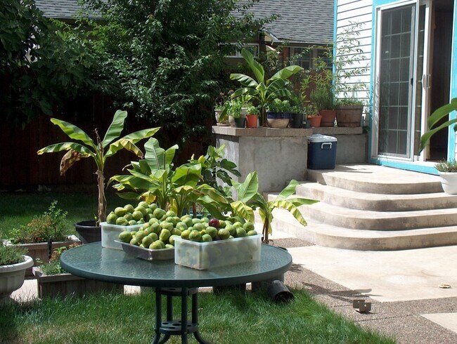 Building Photo - Centrally Located Custom Home each bedroom...