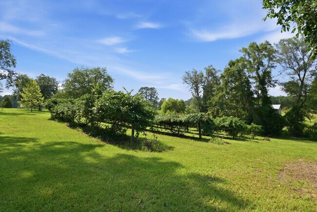 Building Photo - 5103 Hillmon Grove Rd