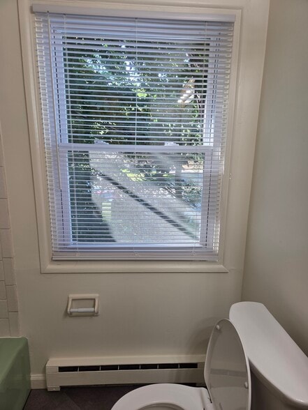 New window in bathroom. - 102 Stonecrest