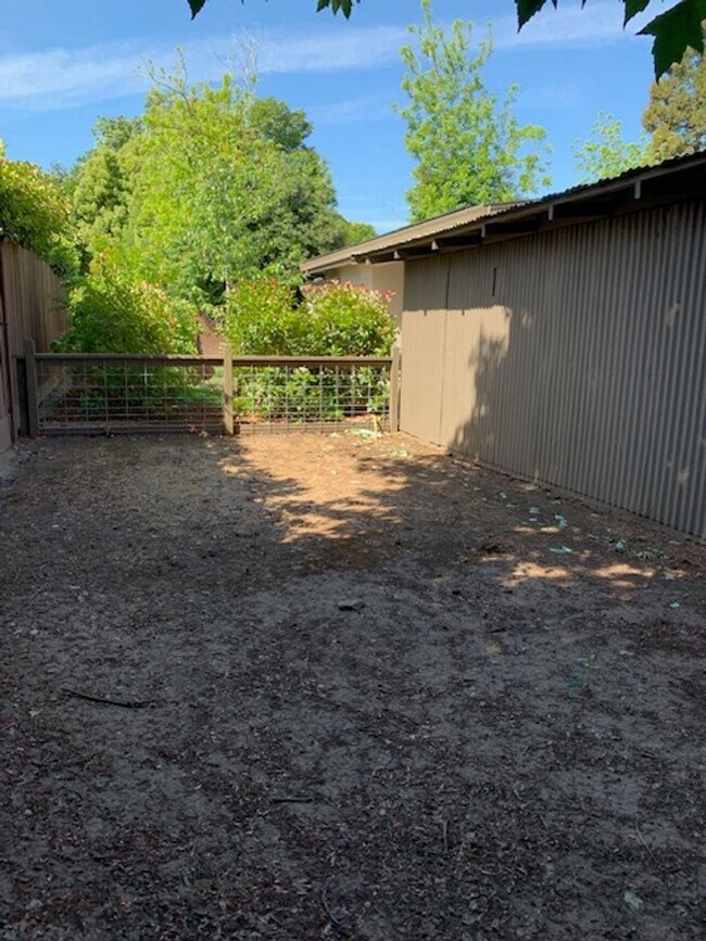 Building Photo - Brand New 2 Bedroom 1 Bath