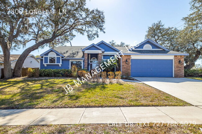 Primary Photo - 3b/2b home in Palm Harbor!