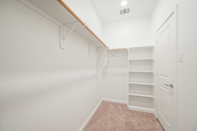Building Photo - 7314 Bristlegrass Colony Ct