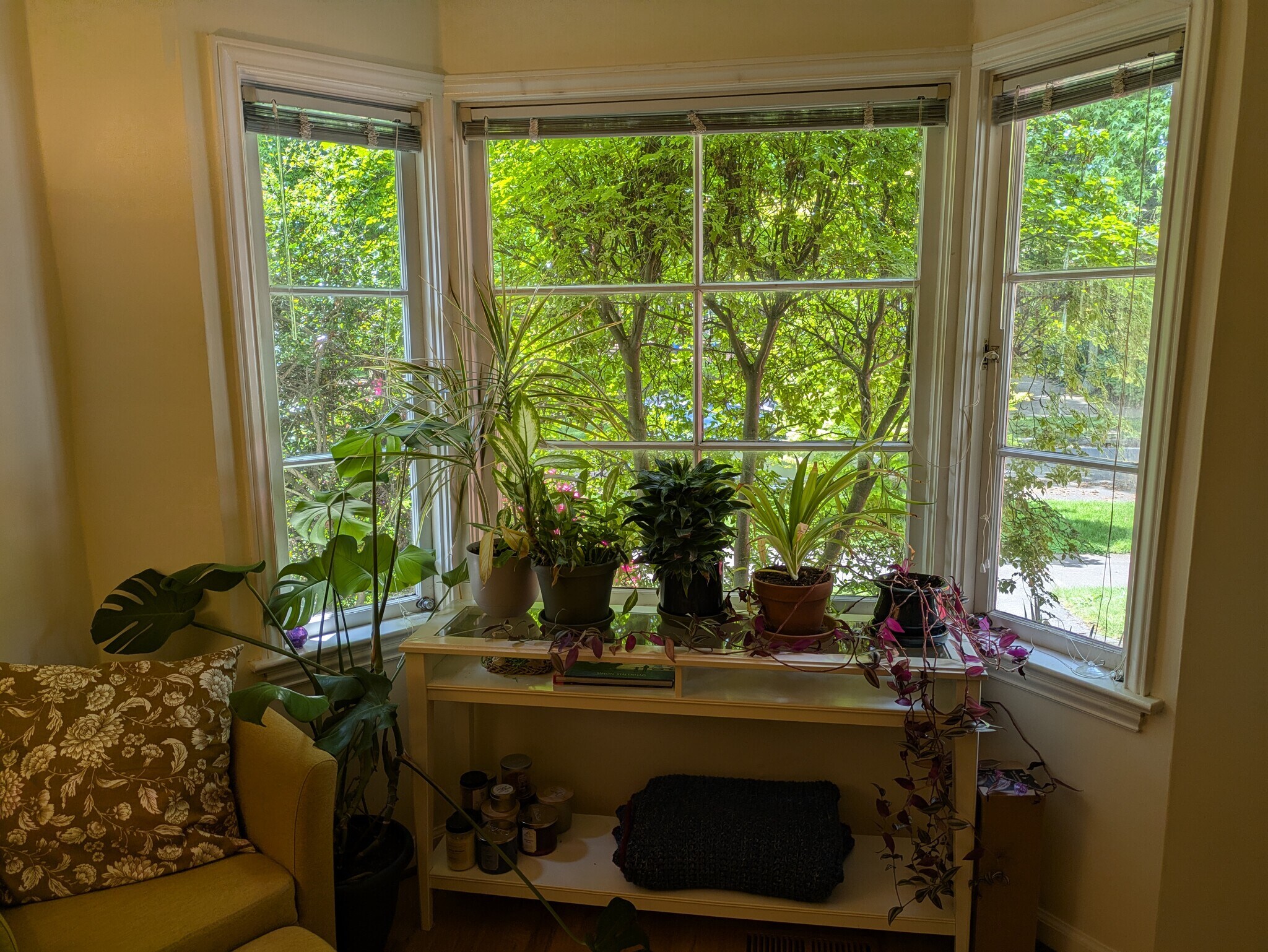 Building Photo - 636 NE 30th Ave