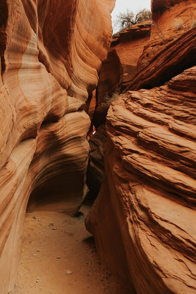 Building Photo - 523 W Vance Dr