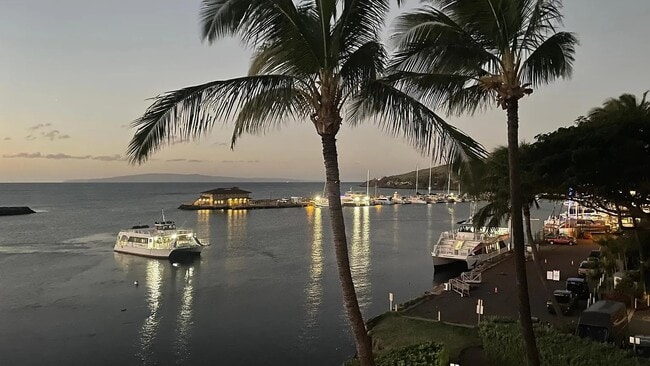 Building Photo - 30 Hauoli St