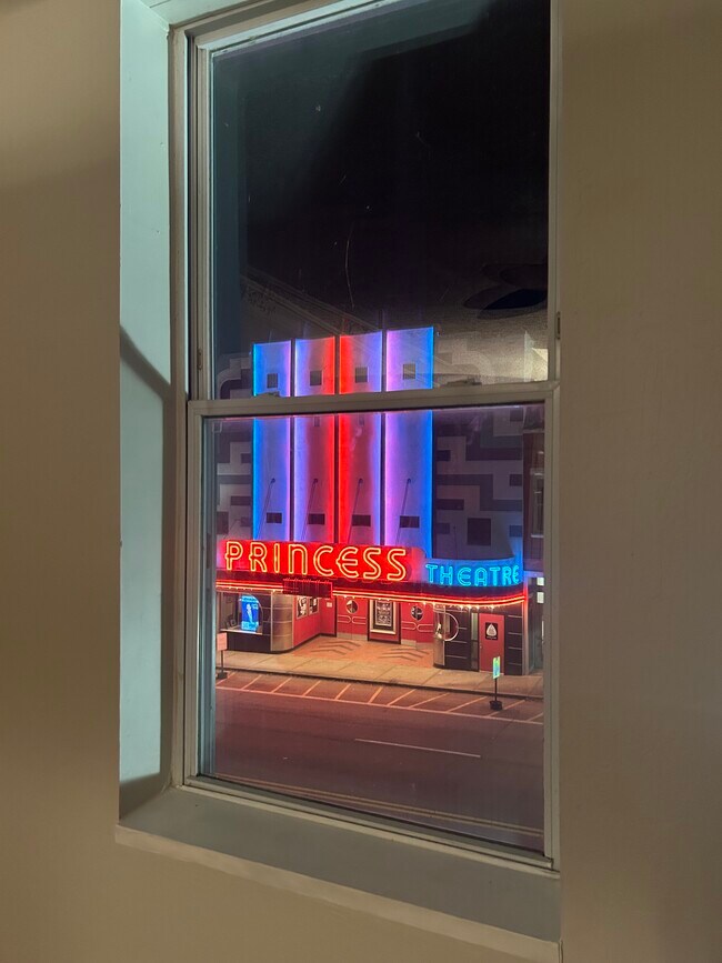 view from front bedroom/library - 426 N Roane St