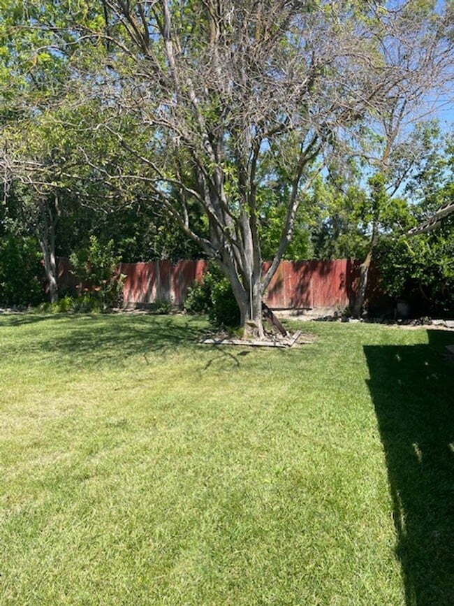 Building Photo - Charming 3 Bedroom Home on a Quiet Tree-Li...