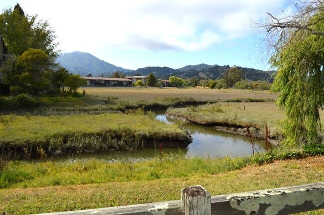 Building Photo - Charming Single-Level Condo in Mill Valley...