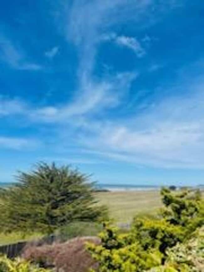 Building Photo - Fully Furnished Studio with Ocean Views!