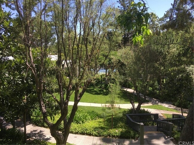 Trees and lanscaping - 3601 W Hidden Ln