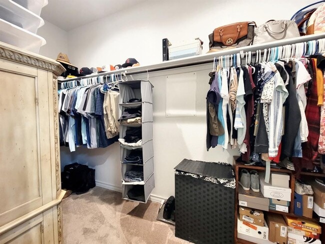 Building Photo - 3720 Soft Shore Ln