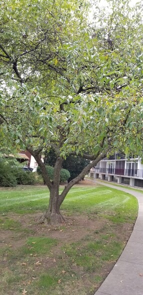 BACK YARD - 2331 E Market St