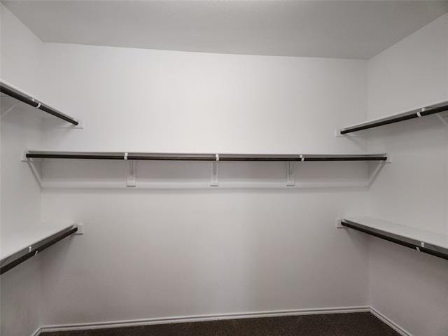 Building Photo - 209 Meadows Dr