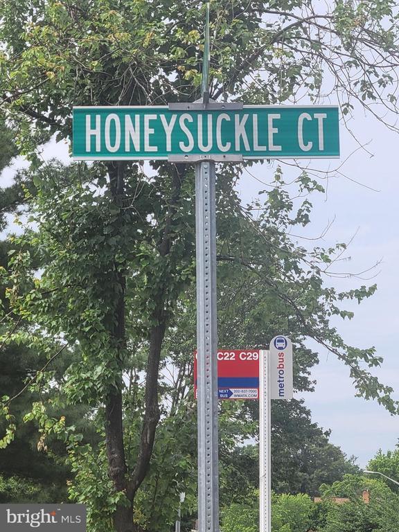 Building Photo - 11425 Honeysuckle Ct