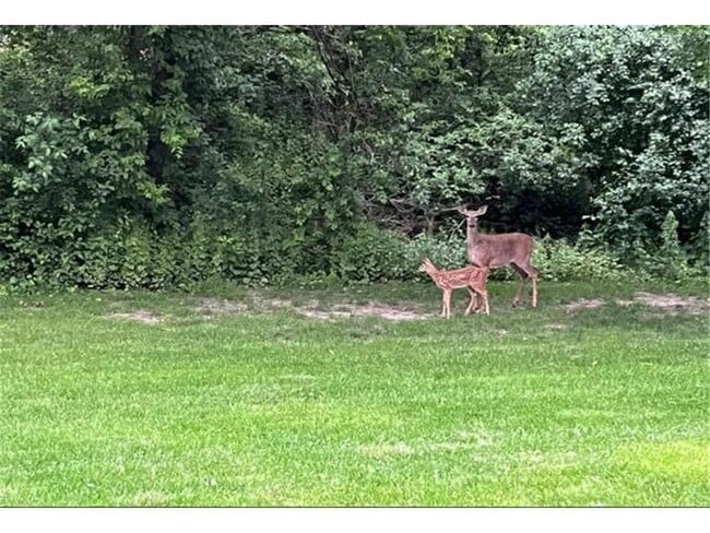 Building Photo - 17553 Ionia Path