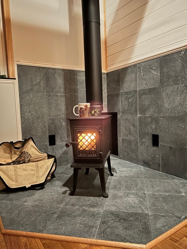 Wood-burning Stove - 754 Woodlands Rd